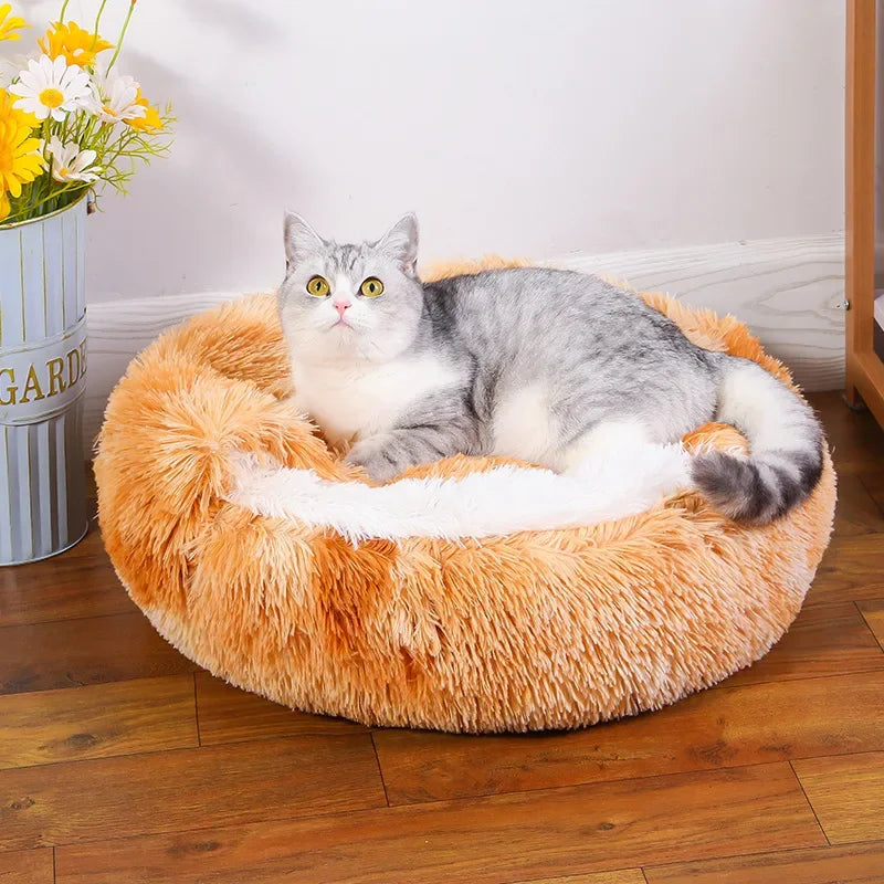 Plush Hooded Cat Bed