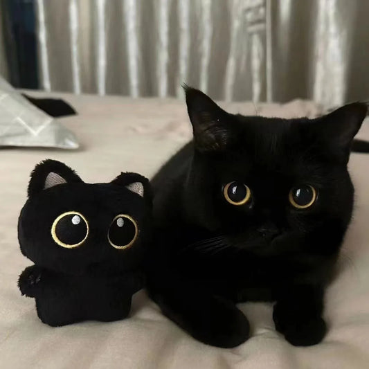 Black Cat Plush