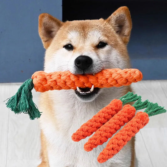 Braided Carrot Chew